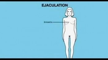 Она в силу своего темперамента сразу же решила проверить насколько хорош его половой орган
